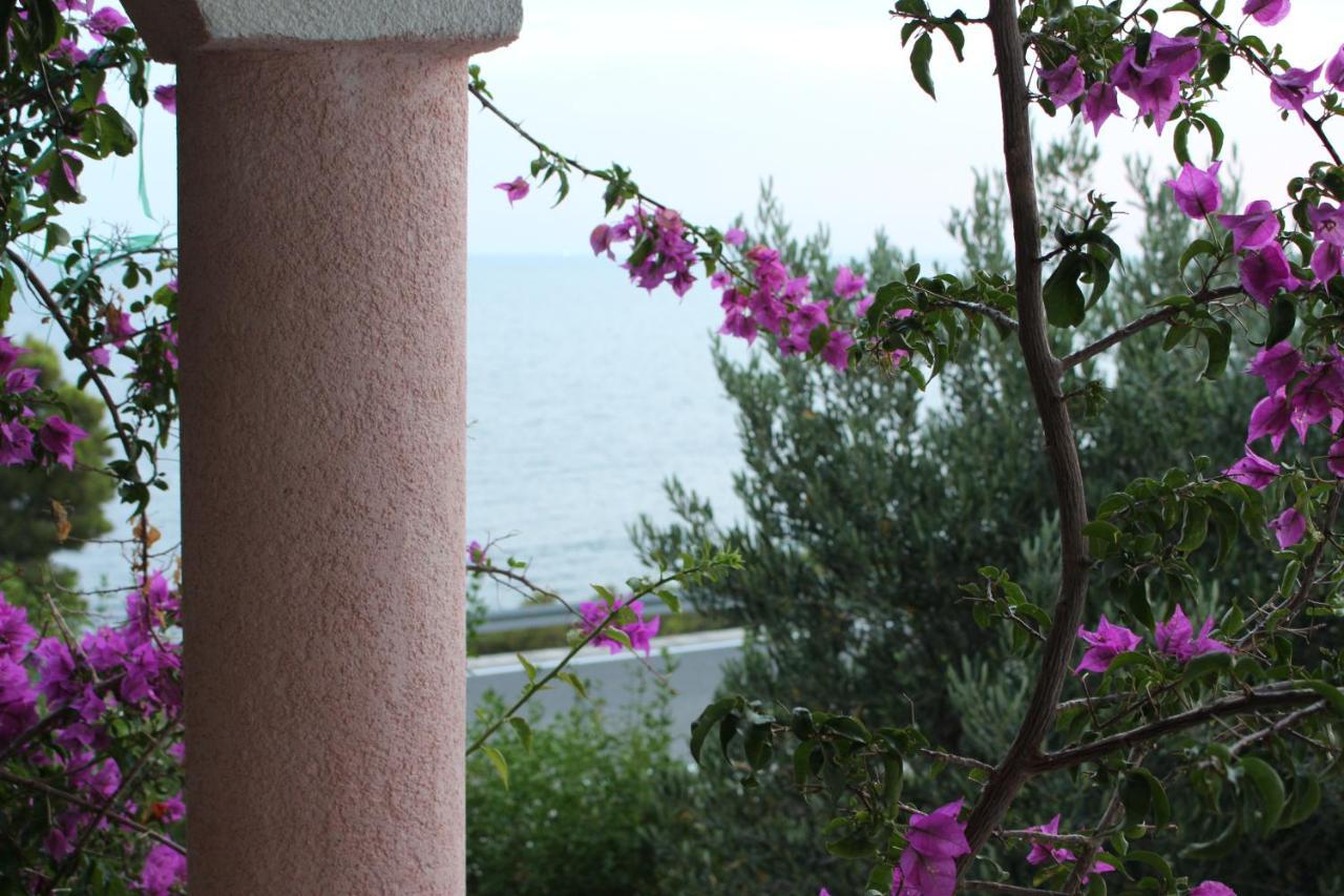 Apartmani Milisa L Primošten Esterno foto